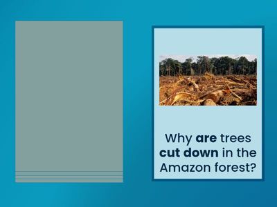 Complete Preliminary Un.11 Passive Qs