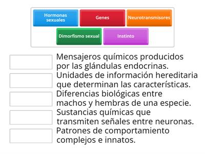 ¿Qué tanto sabes?