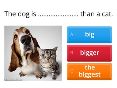 Comparatives and Superlatives