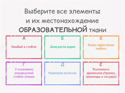 Ткани растений и их элементы