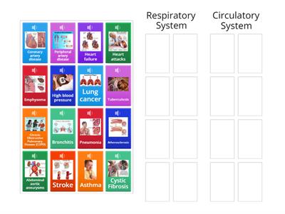 Diseases of the Respiratory and Circulatory System