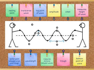 Station 2 - Label the Wave