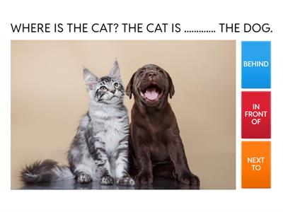 PREPOSITIONS - IN FRONT OF, BEHIND, BETWEEN, NEXT TO 