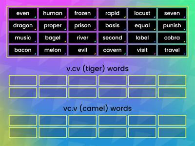 v.cv (tiger) and vc.v (camel)