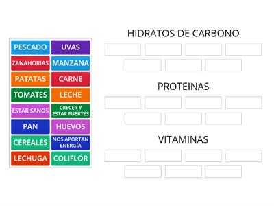 RUEDA DE LOS ALIMENTOS