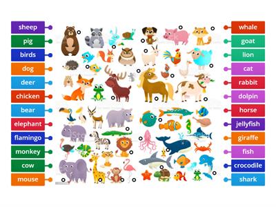 9A Animals extra