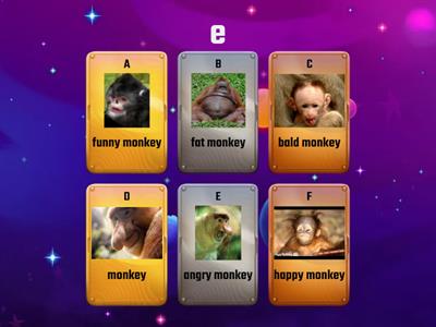 monkey quiz