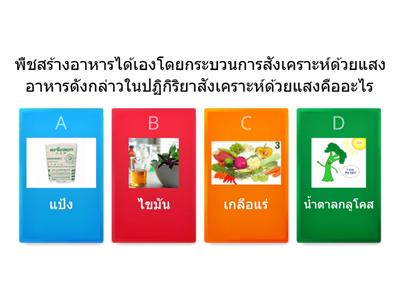 แบบทดสอบ กระบวนการสังเคราะห์ด้วยแสงของพืช ม.1 by ครูอู๊ด