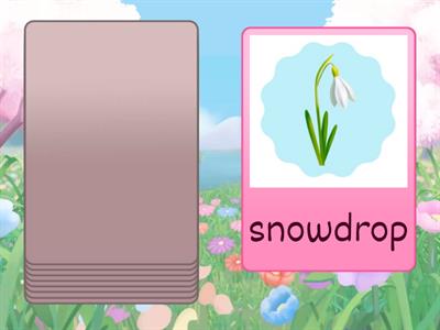 Spring (for primary school) 