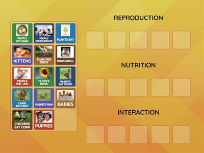 VITAL FUNCTIONS OF LIVING THINGS