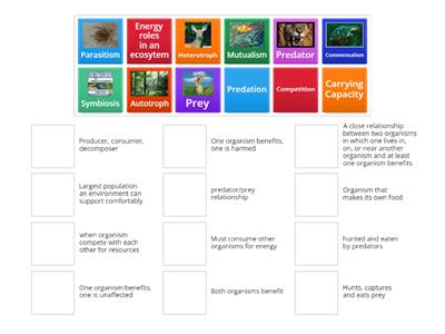 Ecology Vocab Review