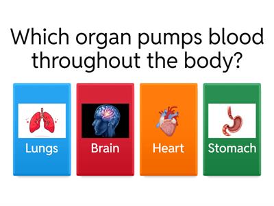 SCIENCE YEAR 4 REVISION
