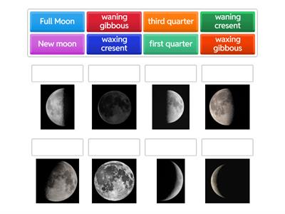 Moon Phases