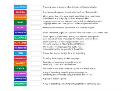 Starter Activity - Poetic devices/terminology match up