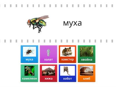 Звук и буква Хх - 1 клас