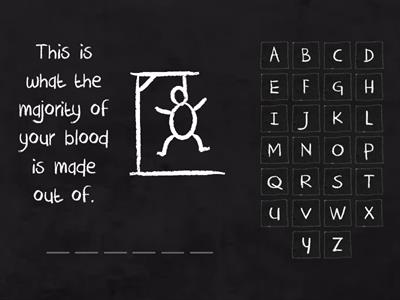 Circulatory System