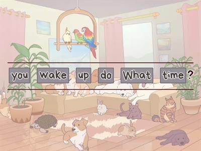 Wh-Questions  (Wh-Pytania) 