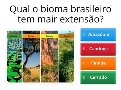 QUIZ BIOMAS BRASILEIROS   WR3