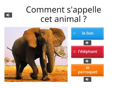 Les Loustics 2 Unité 4 Leçon 1 - Les animaux du zoo (quiz)