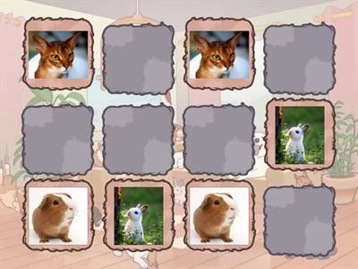 Гра на розвиток уваги