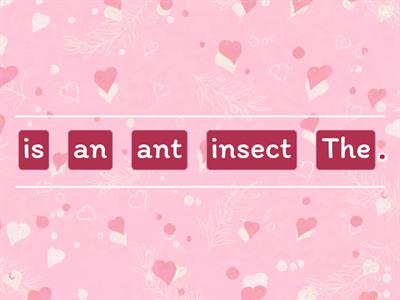 4.2 Light and shadow unjumble