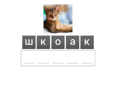  Звук Ш в стечениях