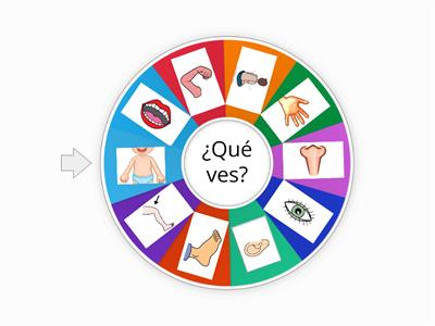 Partes del cuerpo