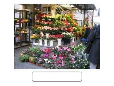 spotlight 5 Module 9a