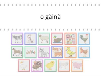 Animalele domestice /párosító