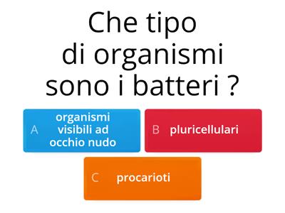 Batteri, virus e funghi