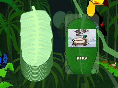 Чтение : буквы АЭКМОТРСНВИУХБГ