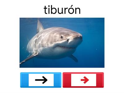 Palabras largas y cortas prekinder