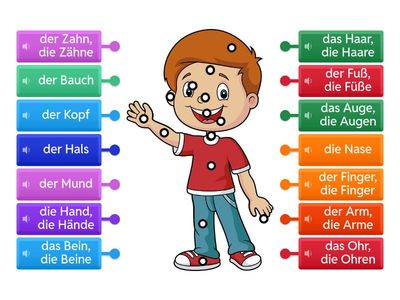 D5. 2C_1. (II)  Körperteile-1