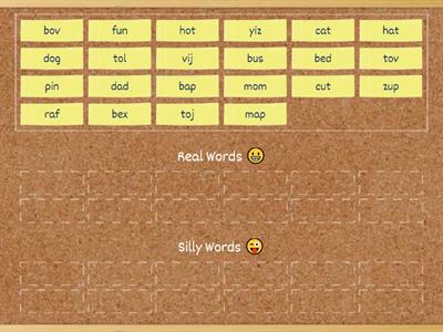 Real or Silly Words (CVC)