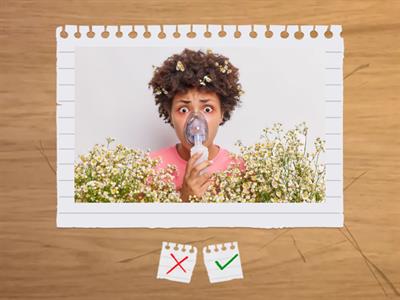 Was tut dir weh? Co tě bolí?