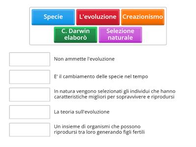 Scianna. Evoluzione