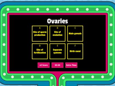 Female reproductive system vocabulary