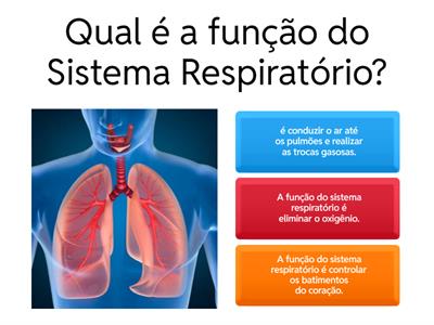 Sistema Respiratório - 4º ano