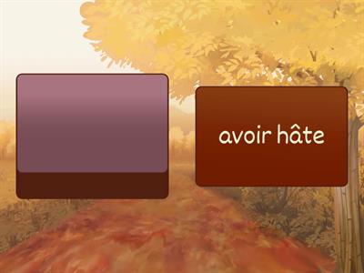 Pyramide Expressions avec avoir