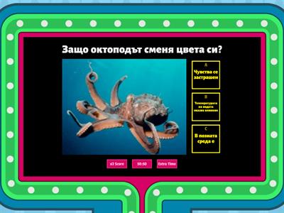 Кой най-добре си сменя цвета?