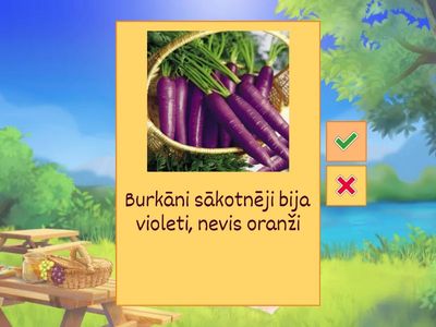 Year 6c - Fun facts about fruit and vegetables