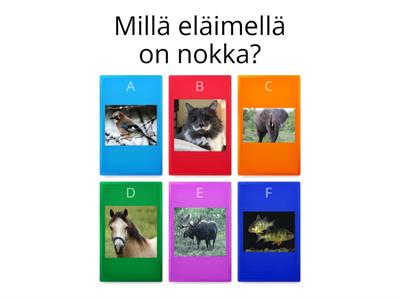 Eläinten osia