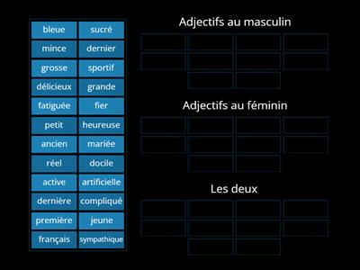 Les adjectifs au masculin et féminin