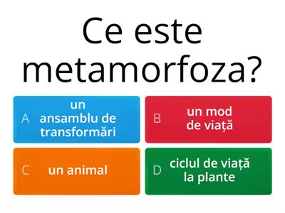 Metamorfoză