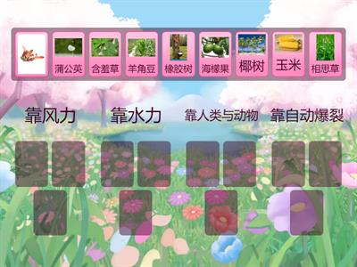 12 植物传播种子的方法