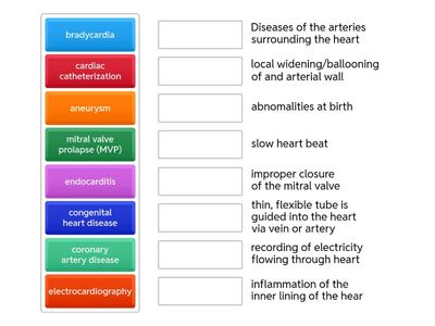 Cardiovascular System Pathology