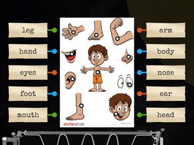 U7: Parts of body + face