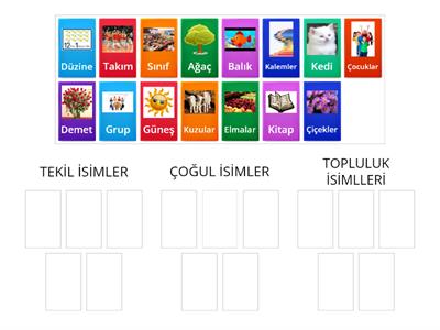 TEKİL, ÇOĞUL VE TOPLULUK İSİMLER