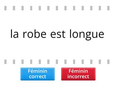 Le féminin des mots : Correct ou Incorrect ?