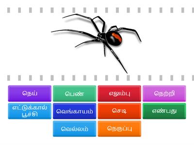 பாடம் 3/4 பாடத்திருப்பம் 